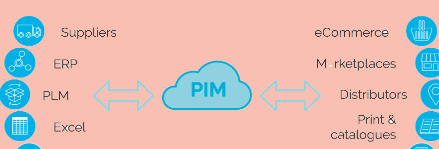 Pim Budget Example Comment réussir un projet PIM